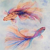 Peces betta. Un projet de Beaux Arts de bmjhojaraska - 03.06.2020