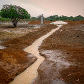 Coexistentia - O caminho para o desenvolvimento do povo do Semiárido!. Een project van Documentairefotografie van Ricardo Araújo - 04.06.2020