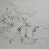 RECUPERACIÓN 1º TRIMESTRE Ein Projekt aus dem Bereich Zeichnung von mario_ramoss - 05.06.2020