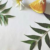 Mi Proyecto del curso: Fotografía profesional para Instagram. Instagram Photograph project by Tania Escobedo - 06.05.2020