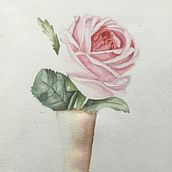 Watercolor flowers. Un progetto di Illustrazione botanica e Pittura ad acquerello di Fiona Anciano - 06.06.2020
