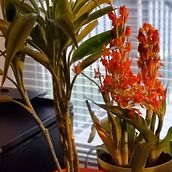 Mi Proyecto del curso: Fotografía y vídeo profesional con tu móvil. Un proyecto de Decoración de interiores de Sonia Perez - 06.06.2020