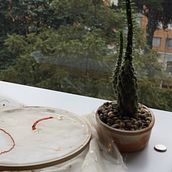 Mi Proyecto del curso: Creación y edición de contenido para Instagram Stories Ein Projekt aus dem Bereich  von tatiana94 - 06.06.2020