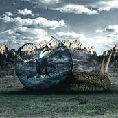 Mi Proyecto del curso: Fotomontaje surrealista con Photoshop Caracol. Een project van  Art direction van Andres Francisco Huerta Martinez - 07.06.2020