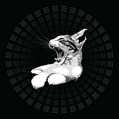 Bombo. Un proyecto de Ilustración tradicional e Ilustración vectorial de 1080 - 08.02.2020