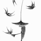 Arlekinos. Un progetto di Illustrazione tradizionale di Ibeth Arceo Díaz - 09.06.2020