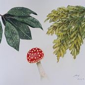 Meu projeto do curso: Caderno botânico em aquarela. Traditional illustration, Botanical Illustration & Ink Illustration project by Ana Rocha - 06.13.2020