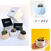 MACETAS CONCRETO . Arts, Crafts, Furniture Design, Making, Interior Design, Interior Decoration, and DIY project by Monserrat Rangel Hernández - 05.29.2020