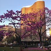 Meu projeto do curso: Desenho arquitetônico com aquarela e tinta. Een project van Aquarelschilderen van barbara_ribeiro_90 - 10.06.2020