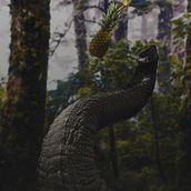 ALL LIVES MATTER. Fine Arts, Photographic Composition, Concept Art, Photograph, Fine-Art Photograph, Digital Photograph, Photographic Lighting, Audiovisual Post-production, and Photo Retouching project by Carlo Tello - 06.10.2020