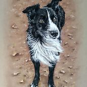 "Andy". Projekt z dziedziny R, sunek art, st i czn użytkownika Sandra Cañadilla Ortiz - 11.06.2020