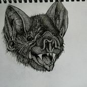 bat. Drawing project by nickinicksp - 06.12.2020