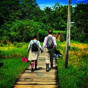 De la huerta de los Prada Ein Projekt aus dem Bereich E-Commerce von Juan Prada Rocha - 16.06.2020