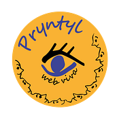 Pryntyl. Social Media project by chiara castiello - 06.16.2020