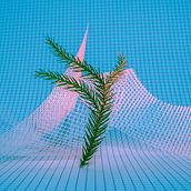 Luz, texturas, naturaleza, color y explorar hasta sentirse a gusto . Fine Arts, Concept Art, and Fine-Art Photograph project by Ney Sánchez - 06.16.2020