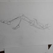 Mi Proyecto del curso: Dibujo anatómico para principiantes. Un progetto di Belle arti, Disegno, Disegno a matita e Disegno anatomico di Juan Pierre Pérez Cumbajin - 17.06.2020