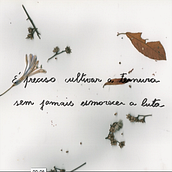 da série: É preciso cultivar a ternura sem esmorecer a luta Ein Projekt aus dem Bereich 2-D-Animation von maria celia chaves ribeiro - 17.06.2020