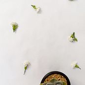 My project in Professional Photography for Instagram course. Un projet de Créativité de fabiola_reboullms - 18.06.2020
