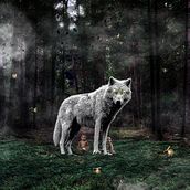 Meu projeto do curso: Segredos da fotomontagem e do retoque criativo. Un proyecto de Fotomontaje de dudubartelle - 18.06.2020