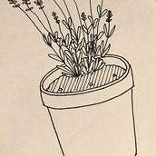 Lavender. Een project van  Tekening van sloni25 - 18.06.2020