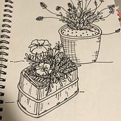 The plants outside my door. Een project van  Tekening van sloni25 - 18.06.2020