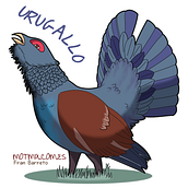 Animales para camisas. Un projet de Dessin numérique de Rosa Rivero - 18.06.2020