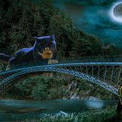 Curso Composición Surrealista  . Komposisi Fotografi proyek oleh Norman Mejia - 06.21.2020