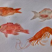 Mi proyecto de curso:Peces Almería. Watercolor Painting project by Gilda Carrasco - 06.22.2020