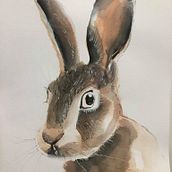 Proyecto final técnicas experimentales con acuarela. Un projet de Aquarelle de Paula Tabares - 23.06.2020