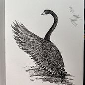 Pen Drawings. Projekt z dziedziny  R i sunek użytkownika benjawi - 23.06.2020