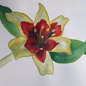 Mi Proyecto del curso: Ilustración botánica con acuarela. Un proyecto de Bellas Artes de María Jesús Hernández Hernando - 22.08.2020