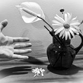 Ausências. Un proyecto de Fotografía artística de Ricardo Freitas - 26.06.2020