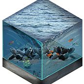 Artificial Reef. Collage, Editorial Design & Infographics project by Esteban Esquivel - 03.06.2018