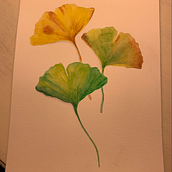 Mi Proyecto del curso: Cuaderno botánico en acuarela. Un projet de Aquarelle de Carolina García Mardini - 16.07.2020