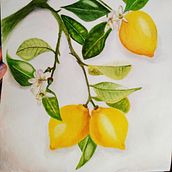 Mi Proyecto del curso: Ilustración botánica con acuarela :). Botanical Illustration project by Valeria Reyes - 07.01.2020
