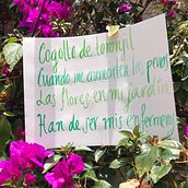 Mi Proyecto del curso: Caligrafía itálica con brush pen.  project by Denise Núñez - 07.01.2020