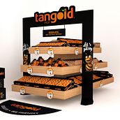 Tangold Ein Projekt aus dem Bereich 3D von Sara Repeto - 02.07.2020