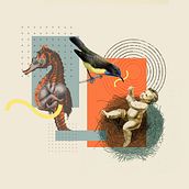 My project in Digital Collage for Editorials course. Design, Digital Design, and Digital Illustration project by Aisvarya Chandrasekar - 07.03.2020