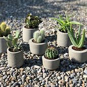 Concrete Planters. DIY project by heavylittlethings - 07.03.2020