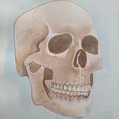 Anatomy portrait. Projekt z dziedziny Malowanie akwarelą użytkownika alexiakorba - 03.07.2020