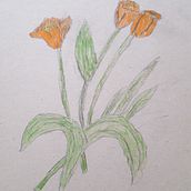 Mi Proyecto del curso: Ilustración botánica con acuarela ALEJANDRA IRIAS. Botanical Illustration project by aleygusty - 07.03.2020