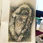 Mi Proyecto del curso: Técnicas de ilustración artística con grafito. Pencil Drawing, Traditional illustration, Botanical Illustration, and Children's Illustration project by pecescd - 07.04.2020