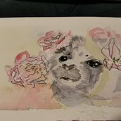 My project in Experimental Watercolor Techniques for Beginners course: seals!. Un proyecto de Pintura a la acuarela de kscolumn - 05.07.2020