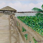 Meu mundo Pará Ein Projekt aus dem Bereich Traditionelle Illustration und Aquarellmalerei von Izabel Brasiliense - 06.07.2020