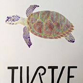 Turtle Poster. Un proyecto de Dibujo a lápiz de Shirley Tate - 25.04.2020