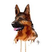Animales. Un proyecto de Bellas Artes, Ilustración tradicional, Ilustración con tinta y Pintura a la acuarela de Ane Garal - 06.07.2020