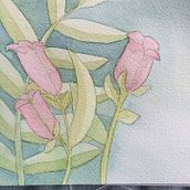 My project in Negative Watercolor Painting for Botanical Illustration course. Watercolor Painting, Traditional illustration, and Botanical Illustration project by ingridf - 07.06.2020