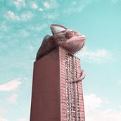 Animals dream. Concept Art, Art Direction, Digital Design, Digital Photograph, Photo Retouching, and Photographic Composition project by Gonzalo Piorno - 07.06.2020