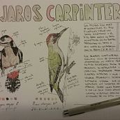 Mi Proyecto del curso: Cuaderno de naturaleza . Un progetto di Illustrazione botanica di franciscocastillofernandez - 17.07.2020