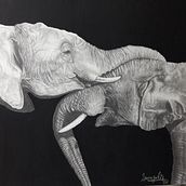 Serie Elefantes. Een project van Tekening met potlood,  Artistieke tekening y Realistische tekening van Laura Jácome Cessa - 27.01.2020